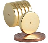 Lot de 5 mini aimants en néodyme avec trou de 1 mm - 12 mm x 2 mm - Pour disques durs - Plat rond - Doré