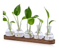 Lot de 5 mini vases de propagation vintage avec plateau en bois marron - Pour décoration de table - Mini vases hydroponiques - Décoration pour fleurs, plantes, boutures, herbes