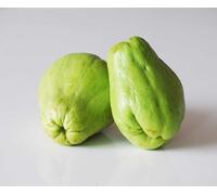 Lot de 5 nouvelles graines fraîches de chayote vert