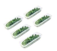 Lot de 5 organiseurs de réfrigérateur - Boîtes de rangement pour réfrigérateur - Boîtes de rangement pour oignons de printemps - Avec couvercle - Scellées à froid - Pour la cuisine, les fruits frais
