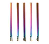 Lot de 5 pailles réutilisables en acier inoxydable 304 pour différentes boissons