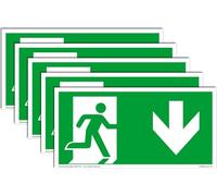 Lot de 5 Panneaux Sortie de Secours Photoluminescents NF EN ISO 7010 - Flèche vers le bas (Position droite) - PVC Adhésif 297x148 mm - Signalétique d'Évacuation (DIN 67510) - Qualité Allemande
