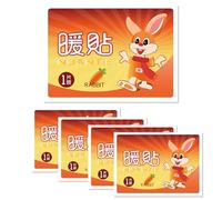 Lot de 5 pansements chauffants - Chauffe-mains chauds - Pour les voyages quotidiens, la randonnée, le sport, les trajets en plein air, le temps froid, le camping, la pêche, le travail