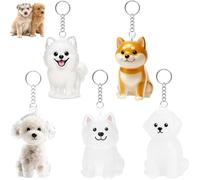 Lot de 5 pendentifs souvenirs pour animaux de compagnie décédés, DIY souvenir pour chiens et chats, cadeau pour les amoureux des animaux, Teddy, Poméranie, Porte-clés pour poils de chien, Bichon