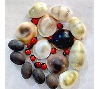 Lot de 5 perles rouges Gunja/Chirmi + Kamal Gatte + Kauri/Kaudi + Gomti Chakra (5 pièces chacune) pour Puja, culte, protection et Lakshmi Pooja