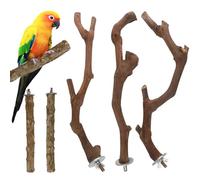 Lot de 5 perroquets interactifs en bois pour jouer à des arbres, perroquets, perroquets et inséparables