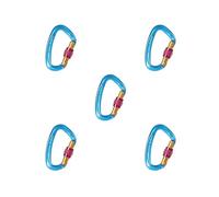 Lot de 5 petits mousquetons en forme de D pour rappel, spéléologie, camping - Bleu