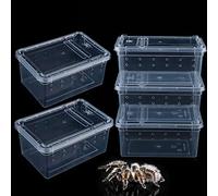 Lot de 5 petits terrariums en plastique transparent pour petits reptiles, araignées, scorpions, mille-pattes et insectes