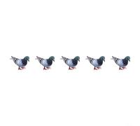 Lot de 5 pigeons en mousse à l'aspect naturel pour décoration intérieure et extérieure, outil éducatif pour l'identification des oiseaux et les leçons d'écologie