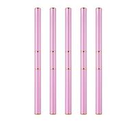 Lot de 5 pinceaux de décoration pour ongles à double tête - Outils de manucure pour des œuvres d'art détaillées et une application de vernis gel