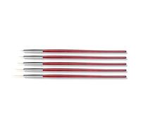 Lot de 5 pinceaux de peinture à ongles pour nail art - Outil de dessin pour peinture à ongles - Outils de dessin pour longue ligne - Pour détails fins - 5 pinceaux de peinture à ongles