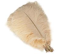 Lot de 5 plumes d'autruche de 40 à 45 cm pour décoration de table de mariage, Halloween, Noël, maison (Champagne)