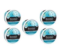 Lot de 5 Pots Gel destructeurs d odeurs 300g 8 semaines Grand Large