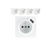 Lot de 5 Prises 2P+T + USB 2.4A en saillie blanc RAL 9010