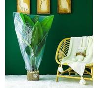 Lot de 5 protections d'hiver pour plantes pour une utilisation en extérieur dans les jardins, serres et terrasses pour protéger les plantes des températures glaciales (80 x 140 cm)