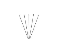 Lot de 5 Rayons Avant Massi