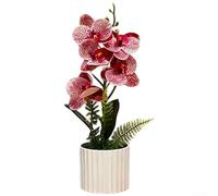 Lot de 5 répliques d'orchidée phalaenopsis artificielles avec texture détaillée pour décoration d'arche de mariage, ensemble d'éclairage de studio et présentoirs d'étagère (poudre à pois)