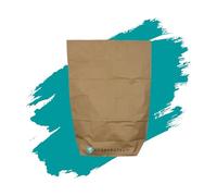 Lot de 5 sacs poubelle en papier - 120 l - Résistants - 100 % recyclables
