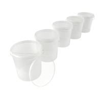 Lot de 5 seaux vides avec Couvercle - 16 l - Transparent - Convient à Un Usage Alimentaire - Hermétique et Stable - avec poignée et Couvercle - pour Aliments, Chimie, Mur