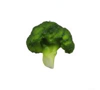 Lot de 5 simulations de brocoli en PVC pour affichage de chaînes d'épicerie, séminaires de nutrition, actifs de marketing numérique et style de table d'entrée (brocoli)