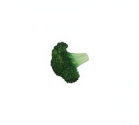 Lot de 5 simulations de brocoli en PVC pour affichage de chaînes d'épicerie, séminaires de nutrition, actifs de marketing numérique et style de table d'entrée (brocoli PVC)