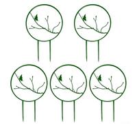 Lot de 5 supports élégants pour plantes grimpantes - Solution parfaite pour les fleurs grimpantes d'intérieur (papillon)