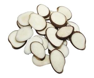 Lot de 5 tranches de noix de Tagua non polies Végétalien issu du commerce équitable Taille XL