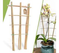 Lot de 5 Treillis en Bambou de 40,6 cm pour Plantes grimpantes, Treillis d'échelle de Jardin Naturel, Treillis de Support en Forme d'éventail pour décoration de Plantes en Pot dans la Porte