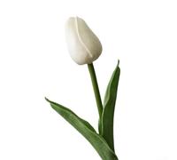 Lot de 5 tulipes artificielles réalistes pour décoration intérieure de salon, salle à manger, chambre à coucher, événement avec tiges de 35 cm de haut (blanc)