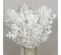 Lot de 5 véritables branches d'eucalyptus blanc séché - 40,6 cm - Branches d'eucalyptus blanches naturelles préservées - Pour mariage, maison, fête, décoration de vase de verdure