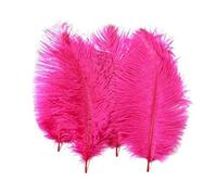 Lot de 50 accessoires colorés en plumes d'autruche naturelles pour décoration de fête, fête, carnaval, 15 à 20 cm 15-20cm Hp