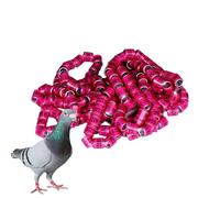 Lot de 50 anneaux de jambe colorés 2025 - Équipement durable pour oiseaux - Distinction facile des anneaux à clip - Accessoires de loft génériques - Outils d'entraînement sûrs - Étiquettes pigeons