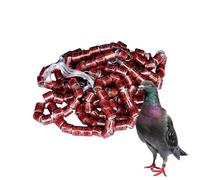 Lot de 50 anneaux d'identification pour pattes de pigeon, diamètre : 8 mm, pour marquer les gros poulets, canards, oiseaux, pigeons