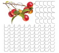Lot de 50 écarteurs d'arbres fruitiers - Outil de réglage de l'angle de branche de fruits - Pour la coupe des arbres sur les jeunes plantes, les plantes à fleurs, dans le jardin, dans les plantations