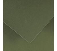 Lot de 50 Feuille Iris® Vivaldi® A4 185g/m², coloris vert kaki 89