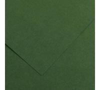 Lot de 50 Feuille Iris® Vivaldi® A4 240g/m², coloris vert sapin 31