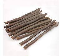 Lot de 50 g de bâtonnets molaires naturels pour écureuil et lapin - Pour nettoyer les branches d'arbre - Brosse à dents - Jouet à mâcher - Fournitures pour animaux de compagnie