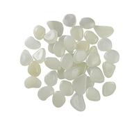 Lot de 50 galets lumineux décoratifs phosphorescents
