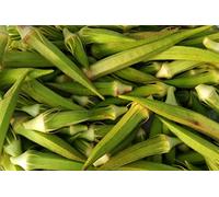 Lot de 50 Graines de Gombo (Okra) Clemson Spineless - plante sans épine - facilite culture et cueillette - un classique aux fruits verts - 12/14 cm de long - productif - semences reproductibles.