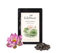Lot de 50 graines de lotus de qualité supérieure - Nelumbo Nucifera - Résistantes à l'hiver et de qualité supérieure - Pour bassins intérieurs et extérieurs - Culture facile, fleurs de lotus exotiques