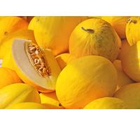 Lot de 50 Graines de Melon Jaune Canari 2 - hâtif de type espagnol - de 1,2 à 1,5 k - un peu côtelé, Forme Ovale - chair blanche, croquante, parfumée - saveur fine - semences reproductibles.