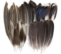 Lot de 50 grandes plumes de faisan décoratives, mélange de plumes de faisan naturelles, 5 styles de plumes de faisan rayées et tachetées en vrac, longues plumes de faisan pour plumes artisanales