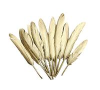 Lot de 50 jolies plumes dorées pour créatifs, pièces centrales, mariage, décoration de fête à la maison