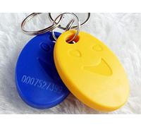 Lot de 50 mini porte-clé avec carte d'identité de contrôle d'accès de la carte de présence