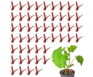 Lot de 50 Pinces à greffer pour - Supports de Jardin Plats - Supports de Jardin - Outil de Connexion de Polyvalent - Insert d'escalade de Jardin pour Serre