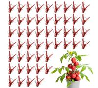 Lot de 50 Pinces de greffage pour aubergines | Supports d'escalade pour jardiniers | Outil de Jardinage pour greffe de et Formation