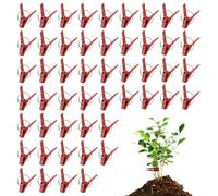 Lot de 50 pinces de greffage pour tomates - Pinces de greffage d'aubergines - Crochets de connexion pour treillis de jardin et serre