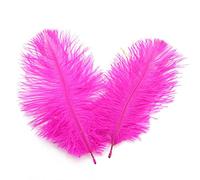 Lot de 50 plumes d'autruche naturelles de 15,2 à 20,3 cm pour loisirs créatifs, centres de table, décoration d'intérieur (rose vif)