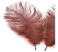 Lot de 50 plumes d'autruche naturelles de 15 à 20 cm - Plumes d'autruche pour bricolage,accessoires de bricolage,décoration de maison,costumes,décoration de table,mariage,fête,chapeau,vêtements,café
