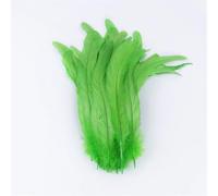 Lot de 50 plumes de coq de carnaval 25-30/30-35/35-40/40-45 cm de long coloré 100 % plumes de faisan Synthèse Vêtements Décoration Fruit EN8 25-30 cm